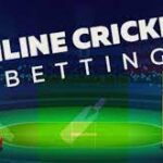 How to choose the best platform for cricket betting activity and have a smooth experience?